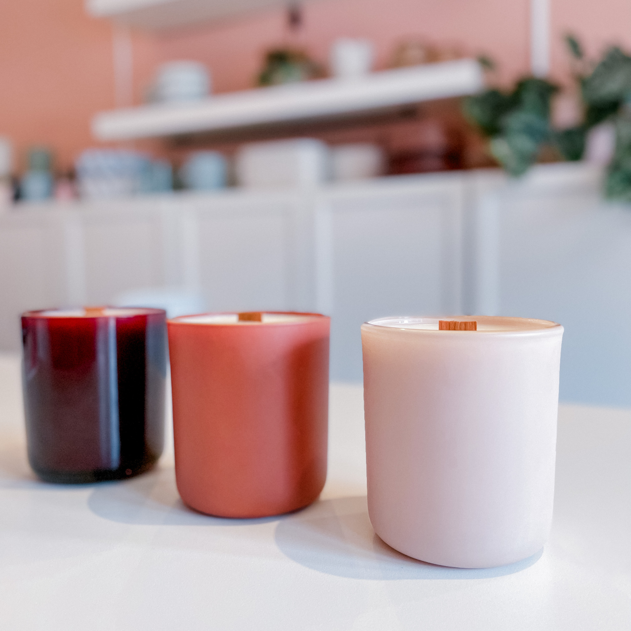 Signature Blush Candle - bells box collective